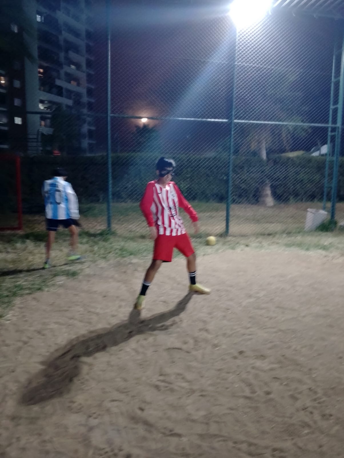 Ege bera Örgülü