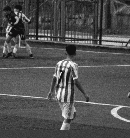 Cihan Göksim