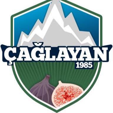 Bursa Çağlayan Spor